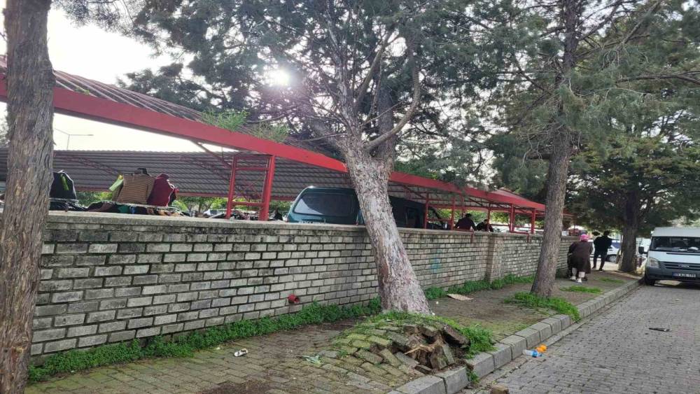Efekent Pazaryeri&rsquo;nde r&uuml;zgar ağacı devirdi