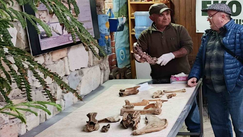 Kuşadası kıyılarında fırtına sonrası ortaya &ccedil;ıkan kemikler incelendi
