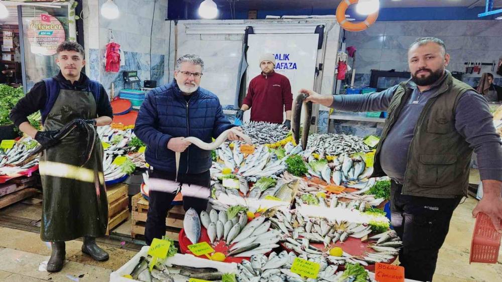 Yılan balıkları 7 bin kilometre kat ederek Meksika K&ouml;rfezi&rsquo;nden Aydın&rsquo;a ulaştı