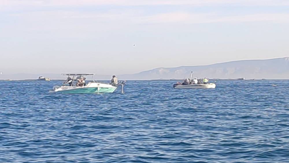 Didim&rsquo;de balık&ccedil;ı tekneleri denetlendi
