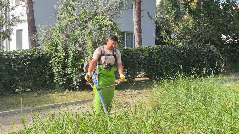 Kuşadası&rsquo;nda yeşil alanlar bakıma alındı
