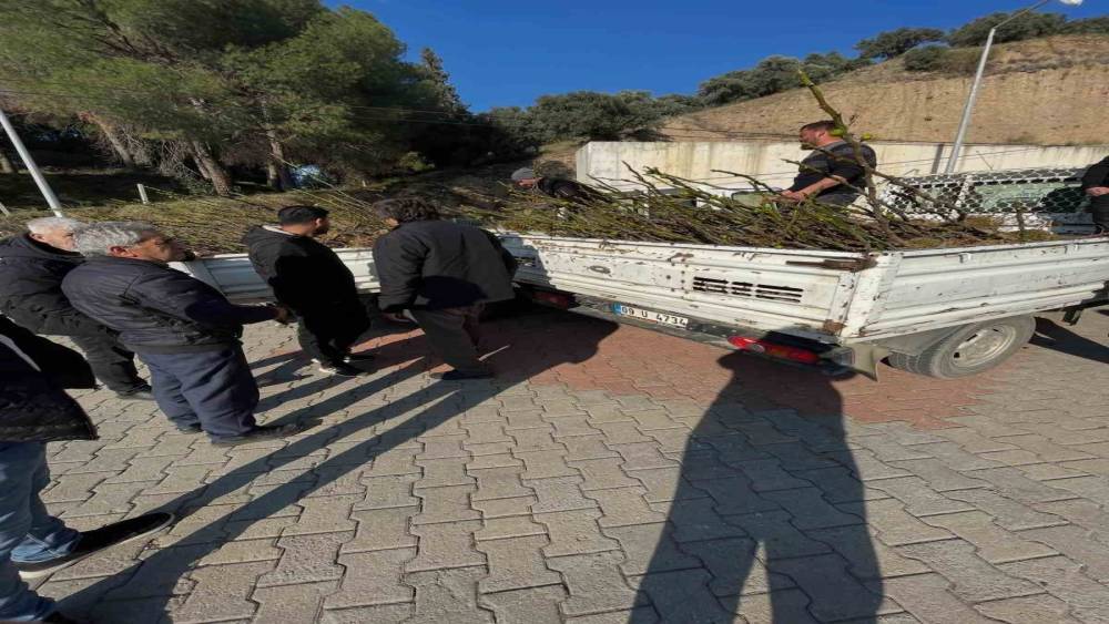 K&ouml;şk&rsquo;te &uuml;reticiye t&uuml;pl&uuml; incir fidanı desteği