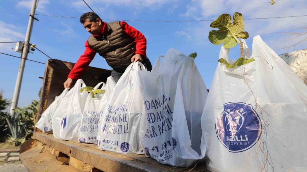 Nazilli Belediyesi&rsquo;nin dağıttığı binlerce ağa&ccedil; fidanı kısa s&uuml;rede t&uuml;kendi