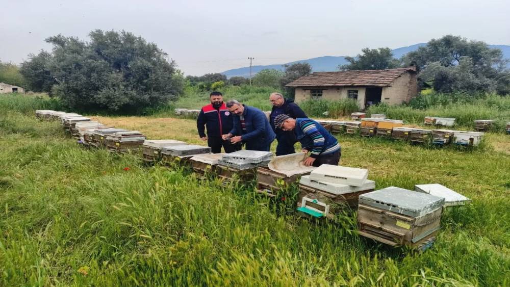 Aydın&rsquo;da ana arı &uuml;retim kovanları denetlendi
