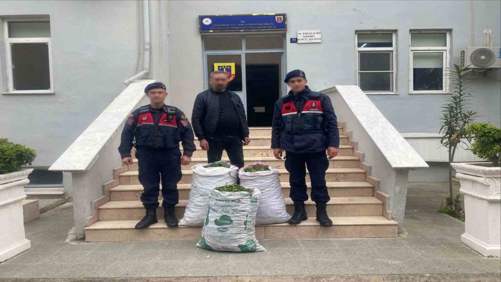 Germencik&rsquo;te incir bah&ccedil;esinde jandarmadan su&ccedil;&uuml;st&uuml;
