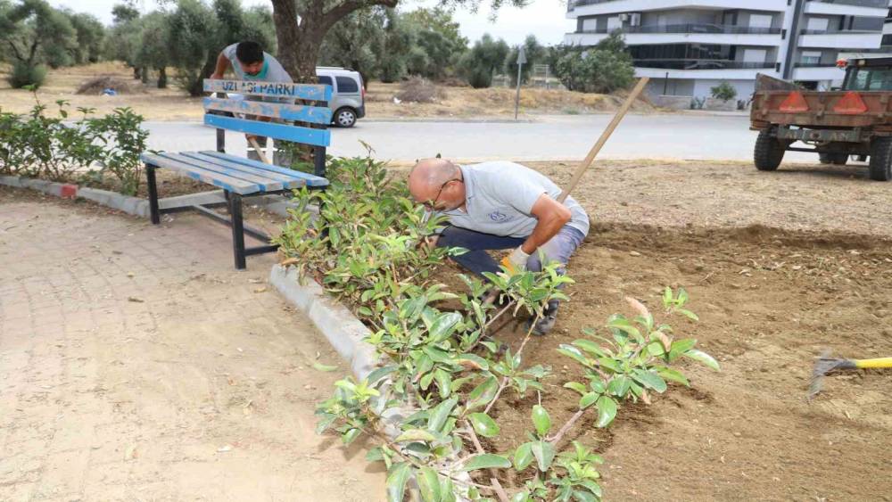 Nazilli kışa hazırlanıyor
