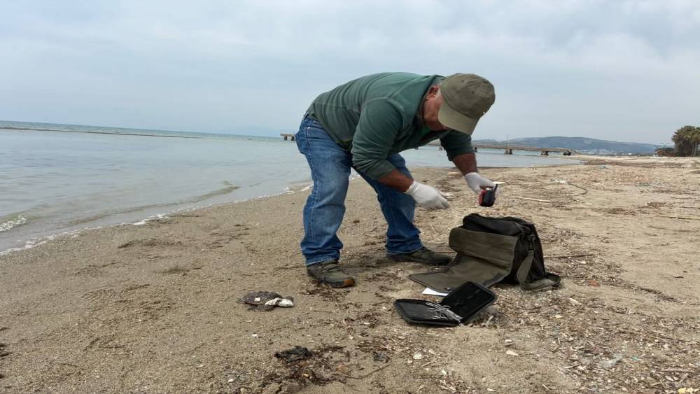 Kuşadası&rsquo;nda iki deniz kaplumbağası &ouml;l&uuml; bulundu

