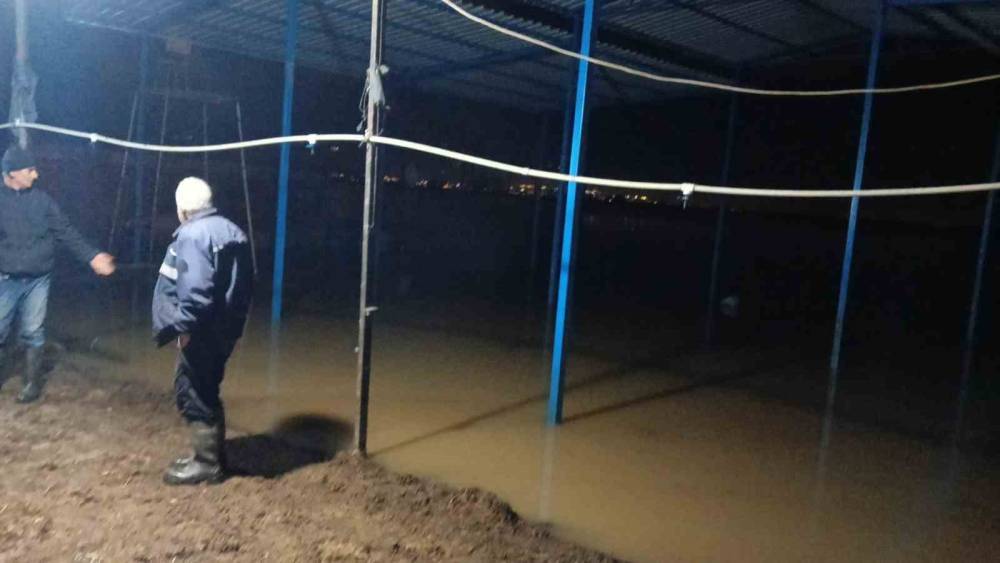 Ko&ccedil;arlı&rsquo;da su baskını sonrası hayvan tahliyesi s&uuml;r&uuml;yor