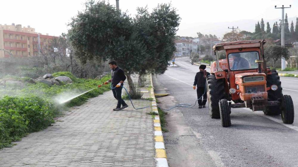 Bozdoğan&rsquo;da yabani ot m&uuml;cadelesi