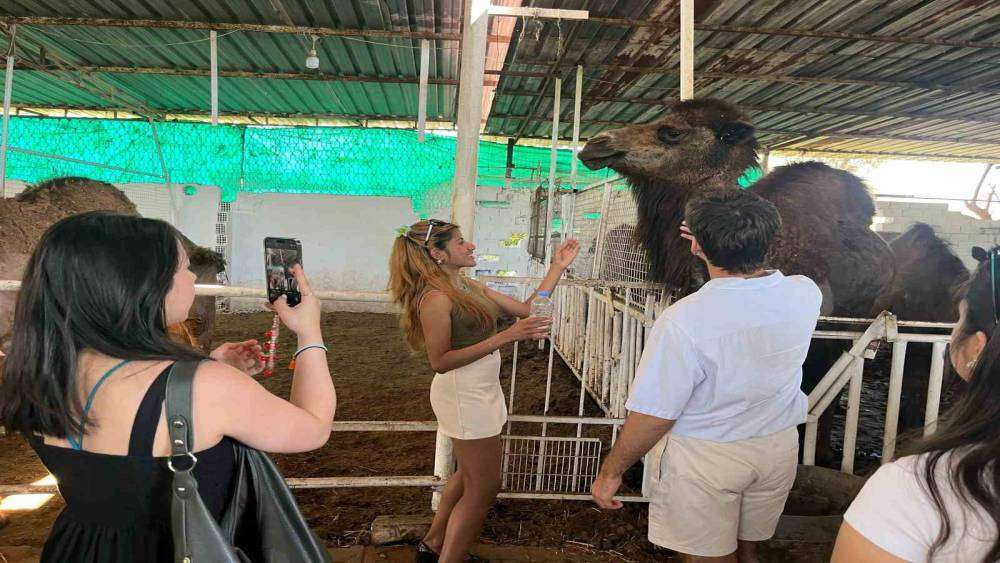 Başkan Kaya’dan Avrupalı öğrencilere devecilik dersi