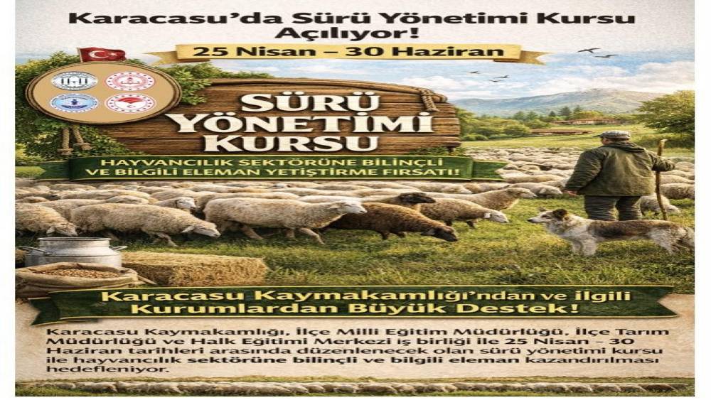 Karacasu&rsquo;da s&uuml;r&uuml; y&ouml;netimi kursu başlıyor