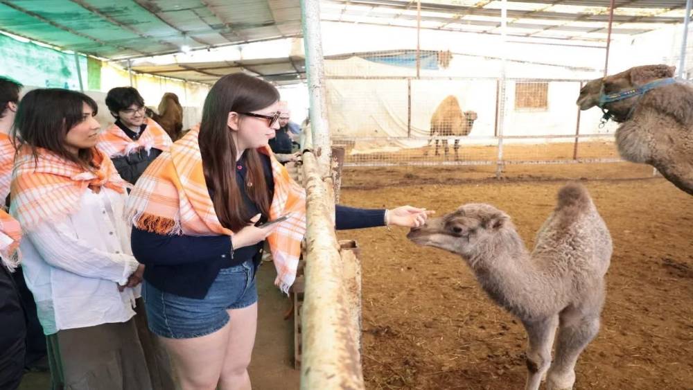 Estonyalı &ouml;ğrenciler deve &ccedil;iftliğini gezdi
