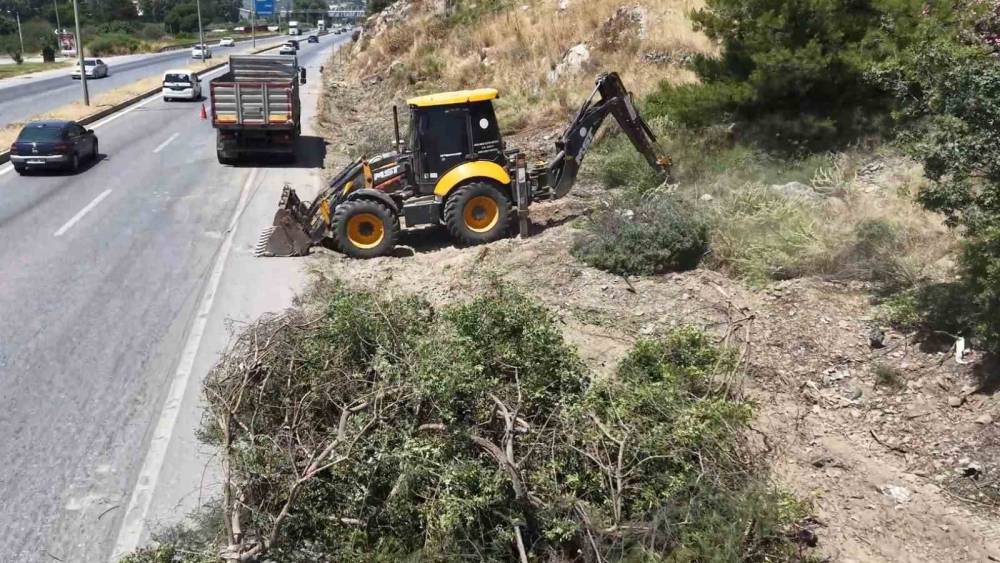 Aydın Orman İşletme&rsquo;den yangınlara karşı yol kenarı temizliği
