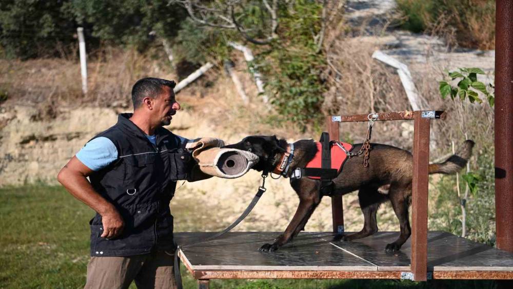 Yetiştirdiği kurtarma k&ouml;pekleriyle doğal afetlerde bir&ccedil;ok hayat kurtardı
