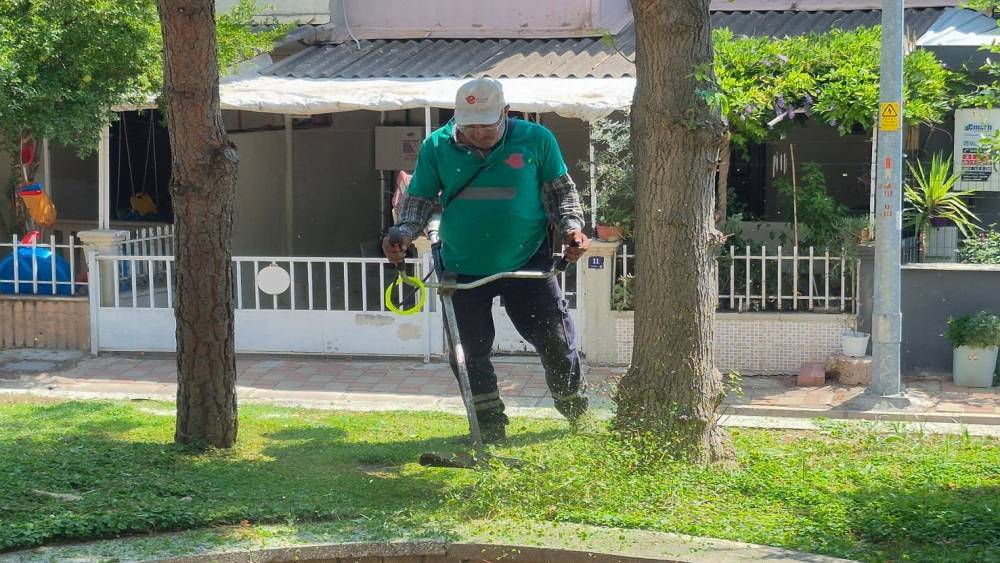Efeler&rsquo;de yeşil alanların bakımı s&uuml;r&uuml;yor
