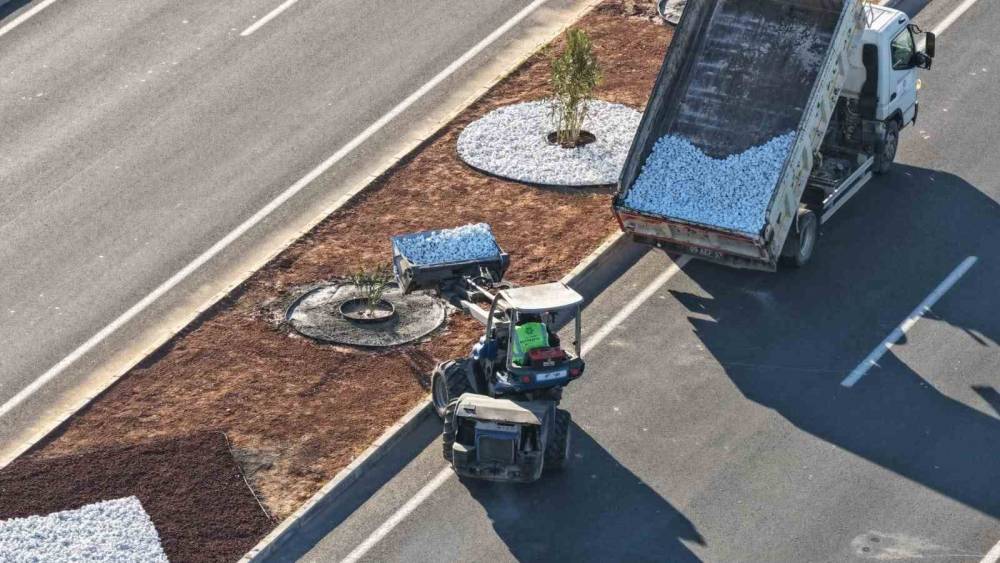 Aydın B&uuml;y&uuml;kşehir Belediyesi&rsquo;nden Acarlar-Şehir Hastanesi yolunda peyzaj d&uuml;zenlemesi