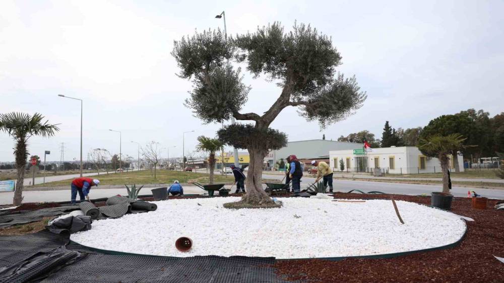 Didim Belediyesi, Didim&rsquo;e &ccedil;ıkan yolları g&uuml;zelleştirdi
