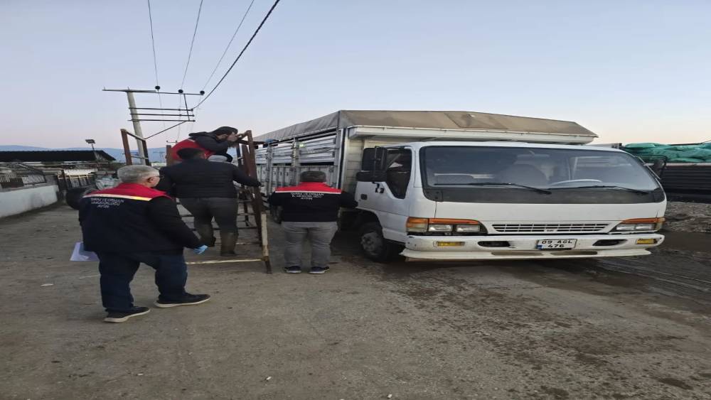 Aydın&rsquo;da hayvan pazarında sıkı denetim
