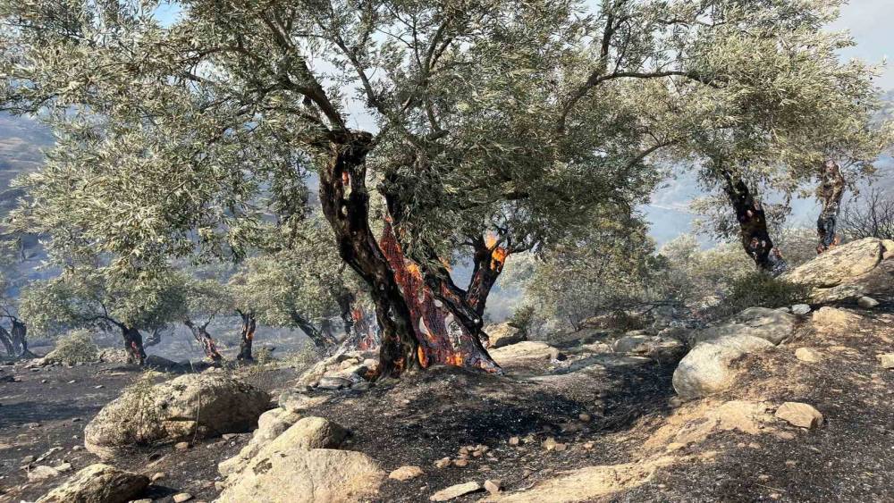 YANGIN’DA BAZI EVLER HASAR GÖRDÜ