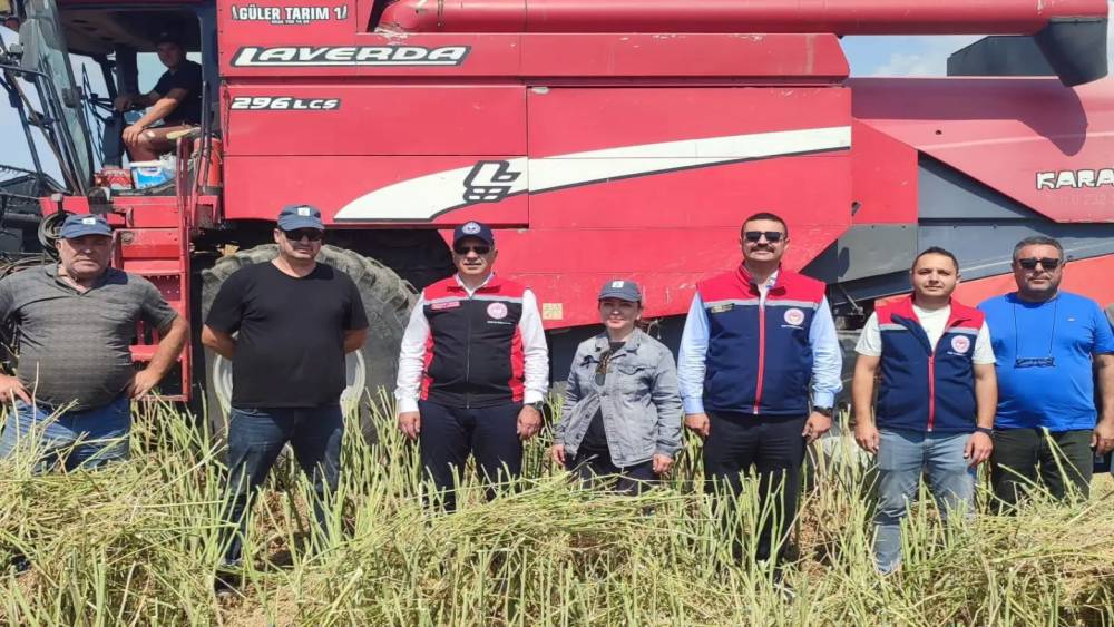S&ouml;ke&rsquo;de kanola hasadı ger&ccedil;ekleştirildi
