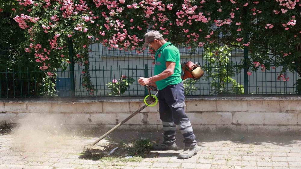 Yedieylül Mahallesi şehir hayatına geri döndü
