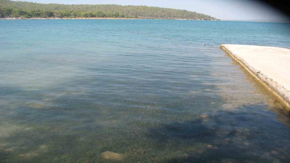 Didim&rsquo;in deniz suyu kalitesi dikkat &ccedil;ekti
