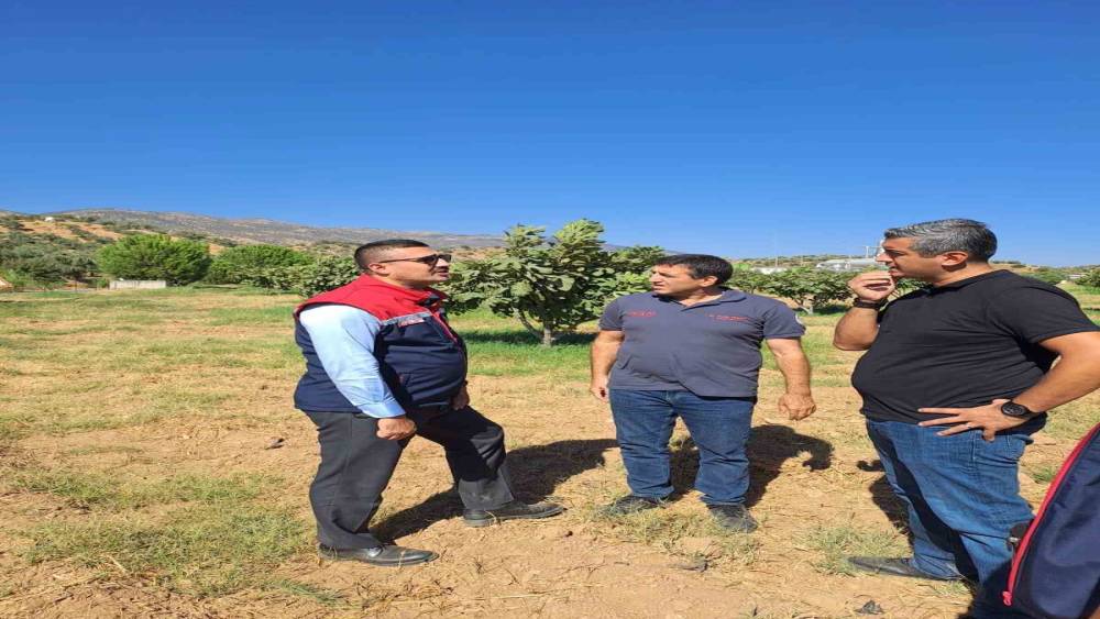 Köşk’te tarımsal zararlılarla mücadele için sahaya indiler