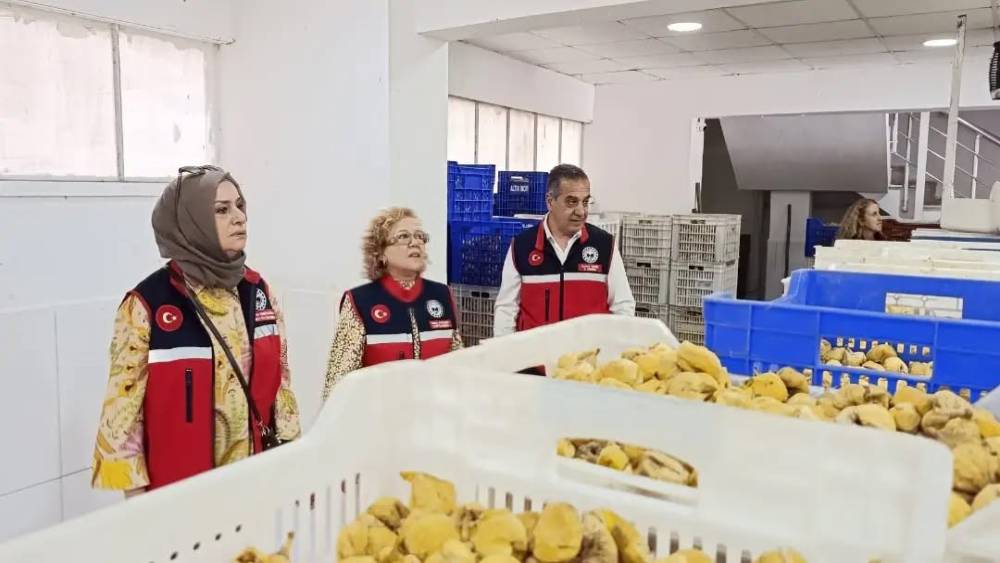 Aydın&rsquo;ın sarı altını incir i&ccedil;in denetimler sıklaştırıldı
