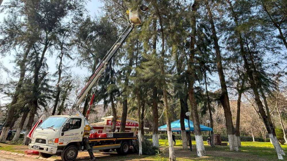 Efeler&rsquo;de Pınarbaşı Mesire Alanı bakıma alındı
