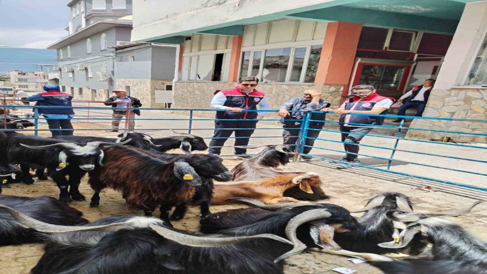 Bozdoğan&rsquo;da kurban satış yerleri denetlendi