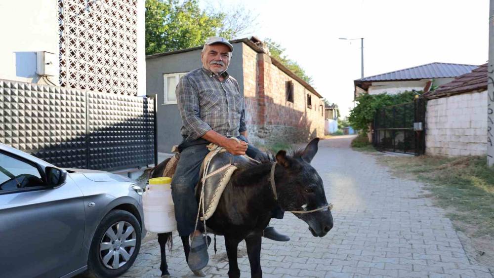 Ayhan amca yokluktan değil, s&uuml;r&uuml;c&uuml; belgesi olmadığından eşeği ile servis yapıyor
