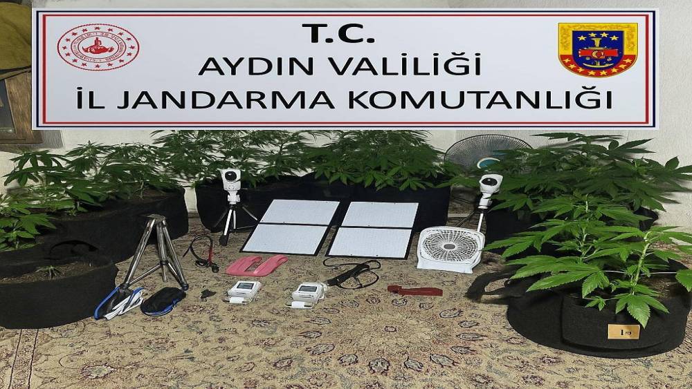 Uzaktan kontrolle metruk binada uyuşturucu yetiştirdi
