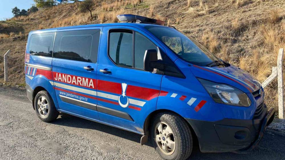 Genç kız hayvan damında ölü bulundu
