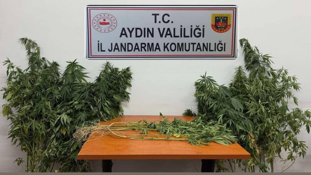 NAZİLLİ'DE UYUŞTURUCU OPERASYONU 