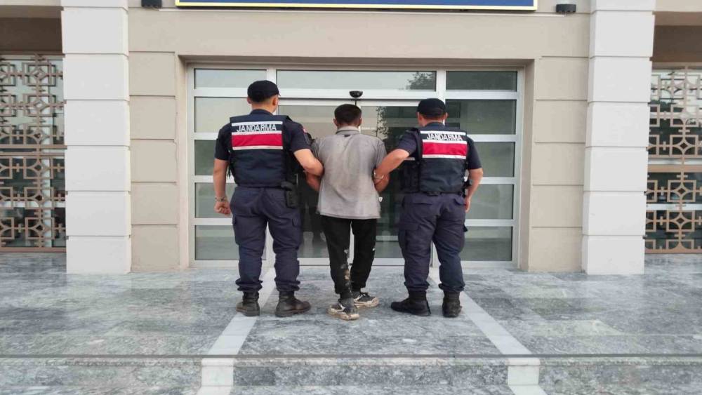 Germencik&rsquo;te incir hırsızlığına su&ccedil;&uuml;st&uuml;
