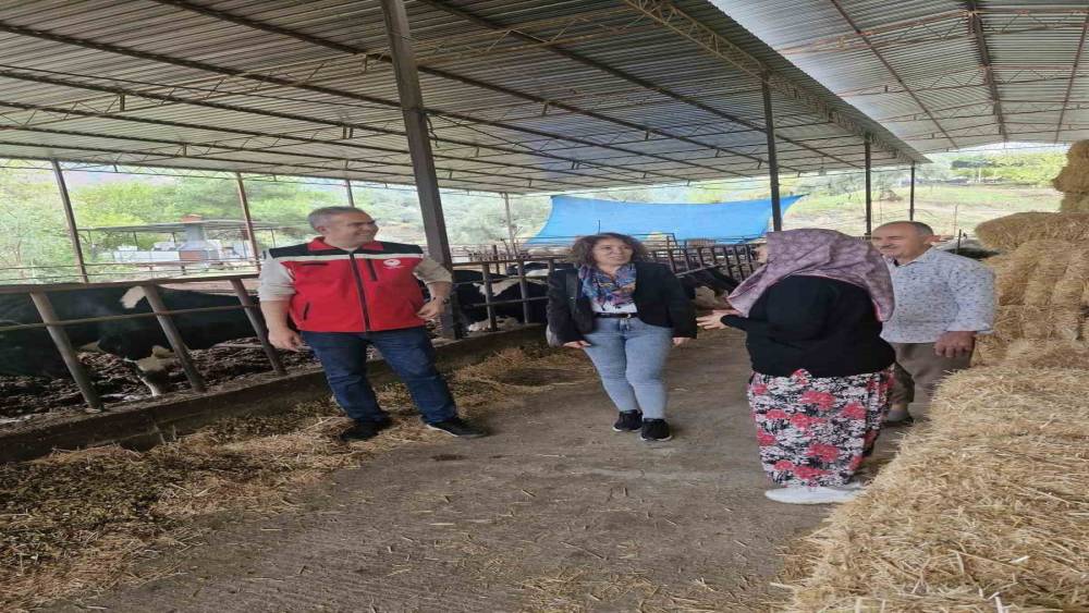 Efelerli kadın çiftçi kendi işletmesini kurdu