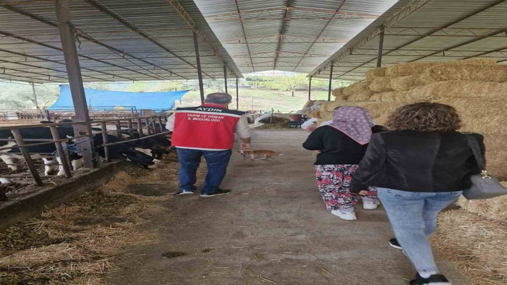 Efelerli kadın çiftçi kendi işletmesini kurdu