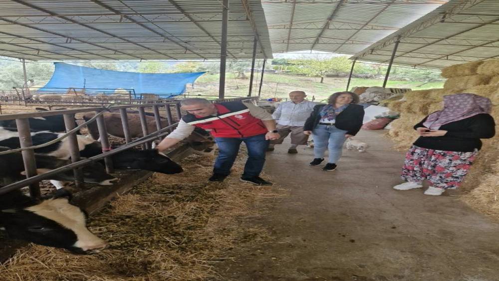 Efelerli kadın çiftçi kendi işletmesini kurdu