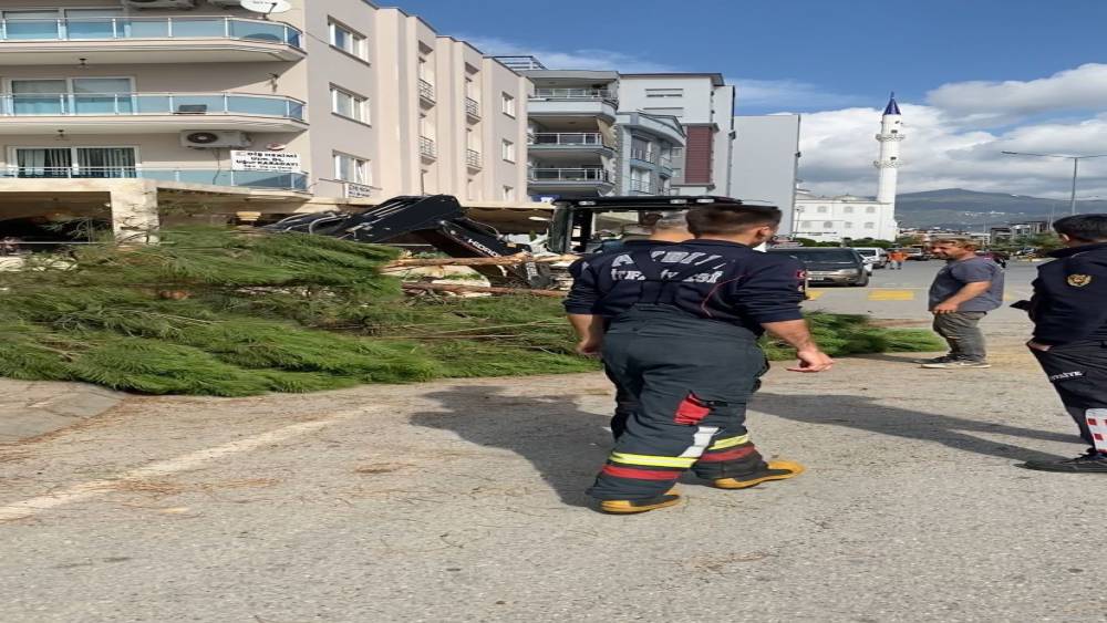 Kuruyan çam ağacı ağırlığa dayanamayarak yola devrildi