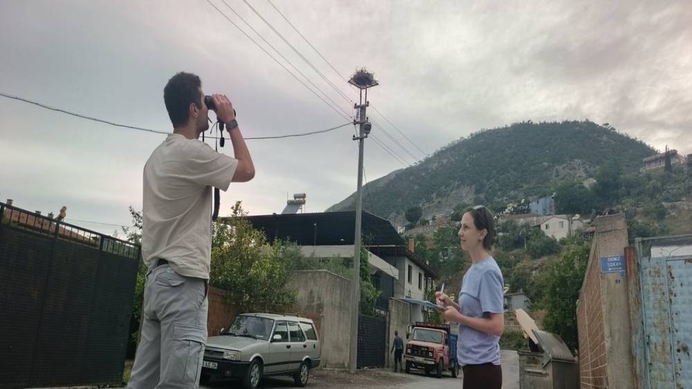 Aydın&rsquo;da leylek sayımları tamamlandı
