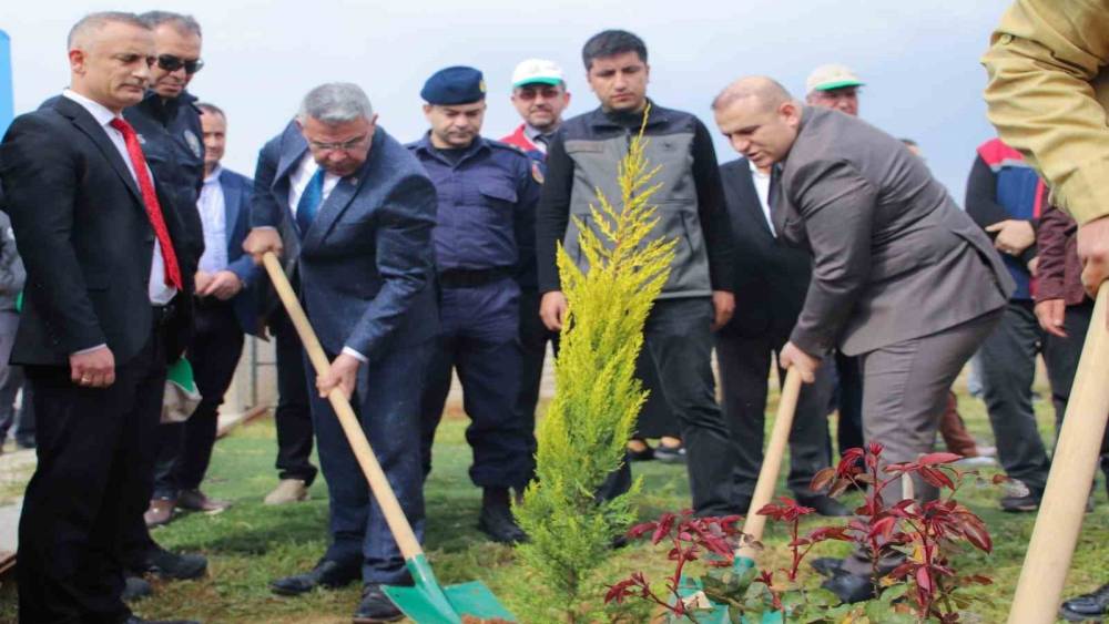 K&ouml;şk&rsquo;te fidanlar toprakla buluştu
