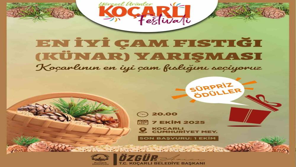 Koçarlı’da çam fıstığının en iyisi seçilecek