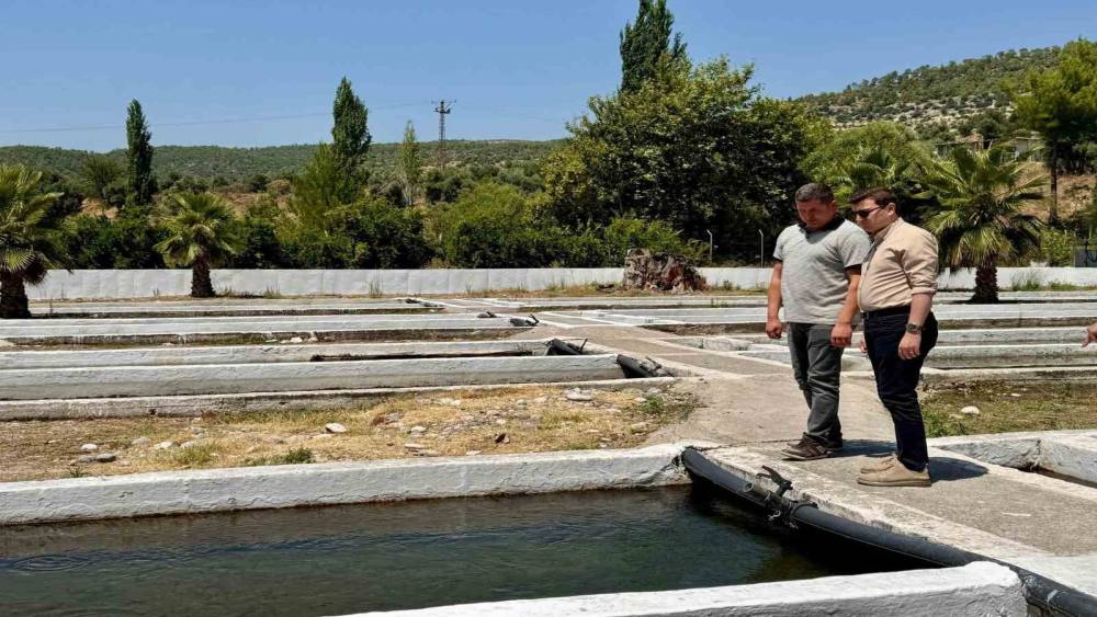 Kaymakam S&ouml;zen, tarım m&uuml;d&uuml;rl&uuml;ğ&uuml; ve su &uuml;r&uuml;nleri işletmesinde incelemelerde bulundu
