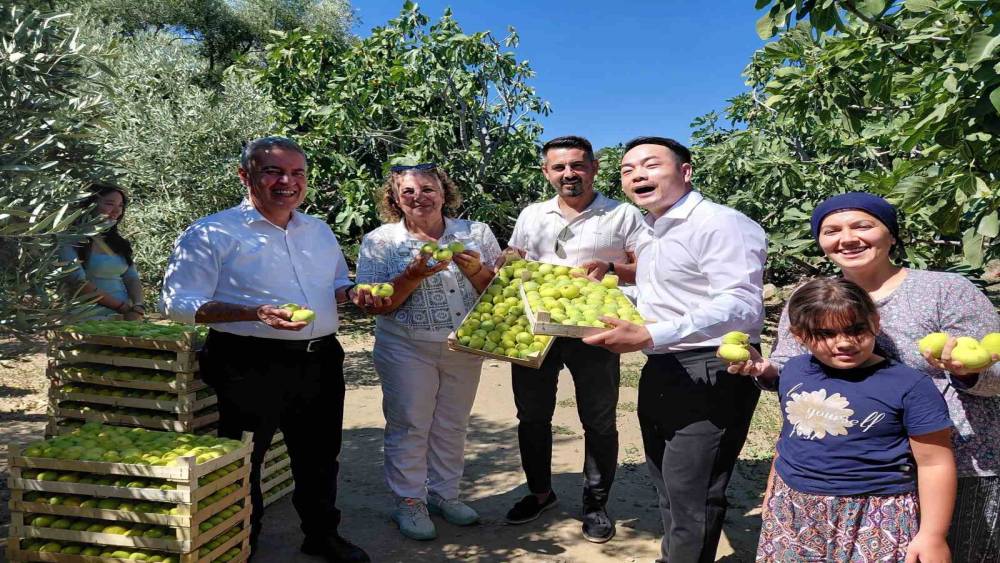 &Ccedil;inli fenomen &ccedil;ift Aydın incirine hayran kaldı
