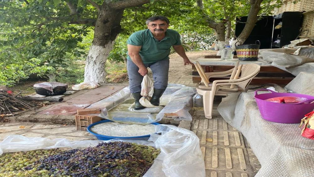 Aydın&rsquo;da &uuml;z&uuml;mler pekmeze d&ouml;n&uuml;şt&uuml;r&uuml;lmeye başlandı

