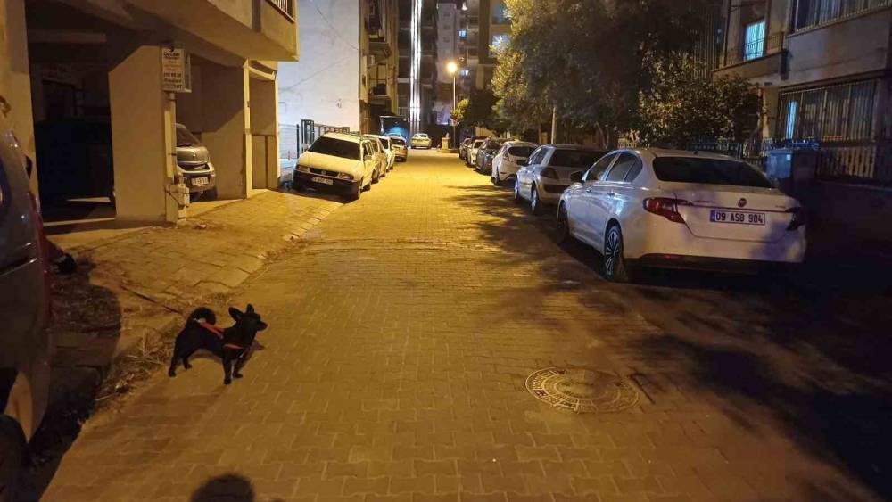 BALIKESİR’DEKİ DEPREM AYDIN’DA DA HİSSEDİLDİ