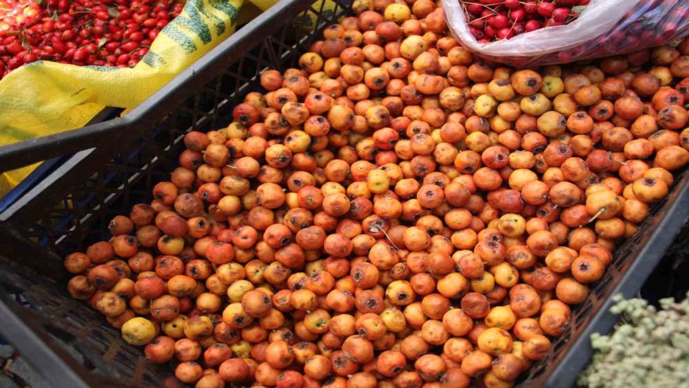 Kışın habercisi alıç meyvesi, tezgahları renklendirdi