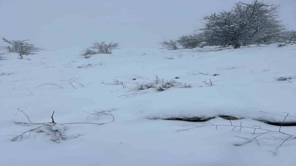 Mart sonunda Karıncalı Dağ&rsquo;da kar s&uuml;rprizi
