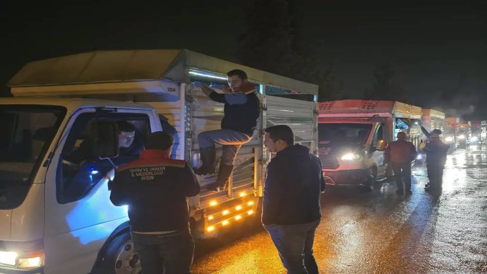 Aydın&rsquo;da hayvan pazarlarında sıkı denetim

