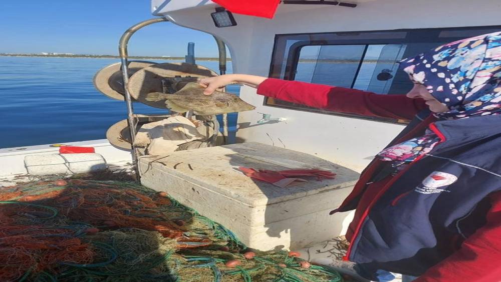 Didim’de su ürünleri kontrolü